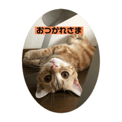 akiko_20191117214117