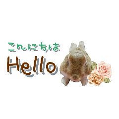 うちの子シリーズ『うさぎのムギちゃん』②