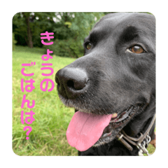 chihiro_20191119173757