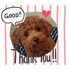 coco's20191119200539