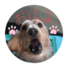 kaoru_20191119195547