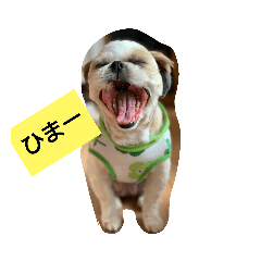 shizu_20191119215419