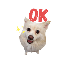 KiKi 超古錐
