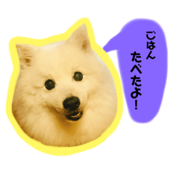 sayu_20191119222136