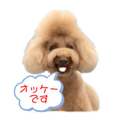 HANA_20191120060727