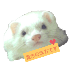 risa_20191120021058
