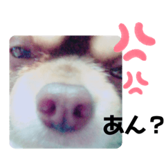 kchan_20191120115216