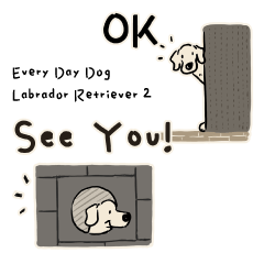 Every Day Dog Labrador Retriever2