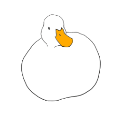 fluffy call duck