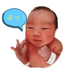 yukari_20191118204453