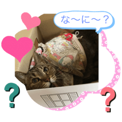 Megumi_20191119124530