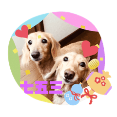 HINAMI_20191120090239