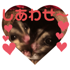 Mako_20191118232008