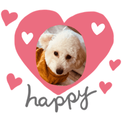 kurumi_20191118125230