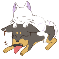 Cheerful Dog and Disgusting Cat