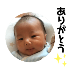 hikaru_20191120154104