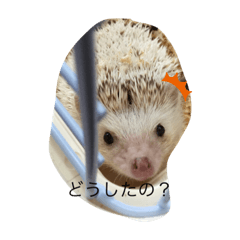 moka_20191120172040