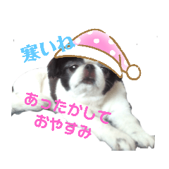 mikihana_20191120142738