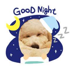 kurumi_20191118180747