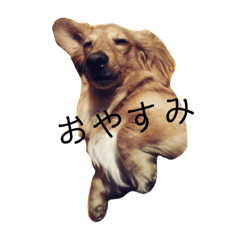 tm_20191120192310