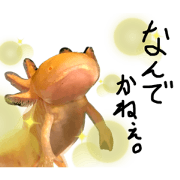 Golden axolotl sticker 2