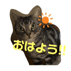 hana_20191120180933