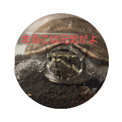 kanako_20191120210043