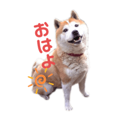 AOI_20191120212507