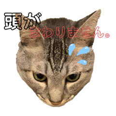 gjptgtp.tjm