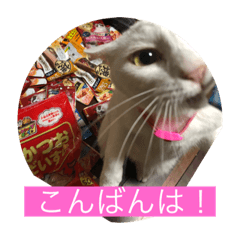 KEN_20191118171330