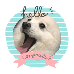 Arisa_20191121010150