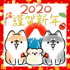 Shiba Inu Dog <New Year 2019-2020>