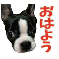 ebi_20191121110108