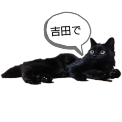saya_20191121124507