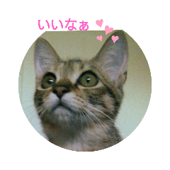 kuu_20191119233705