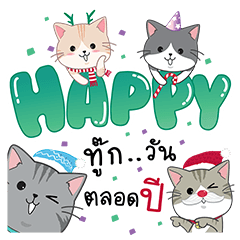 Cute cats : Christmas & New Year