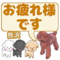 Kumasawa's. letters toy poodle