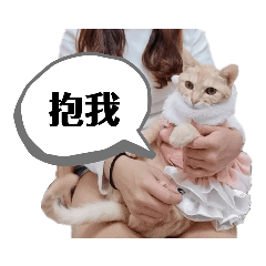 棠娜的情緒化日常:-*