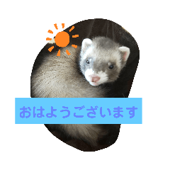 risa_20191120111708