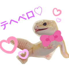 marina_20191117120008