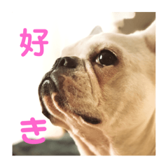Riku_20191120215304