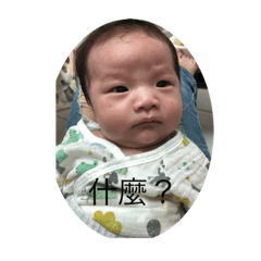 小豬寶寶2