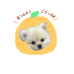 puppy Konatsu stamp