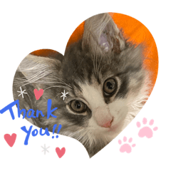 minorin_20191120235013