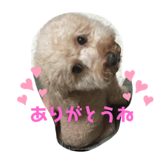 saori_20191119214910