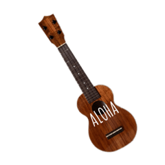 ukulele lessons 1