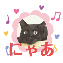 Black cat Takeru No.2