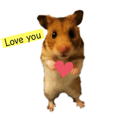 親古寶貝❤️
