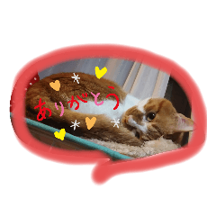 ManMaru_20191121190652