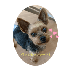 Sally_20191120000146